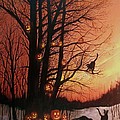 The Pumpkin Tree